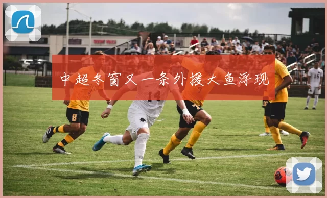 中超冬窗又一条外援大鱼浮现