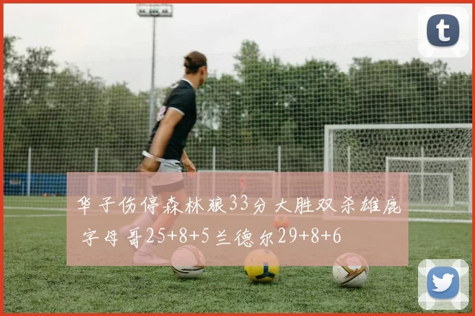 华子伤停森林狼33分大胜双杀雄鹿 字母哥25+8+5兰德尔29+8+6