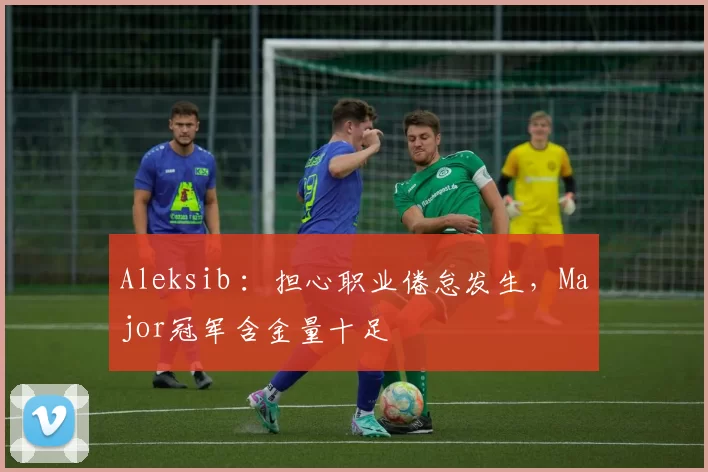 Aleksib ：担心职业倦怠发生，Major冠军含金量十足