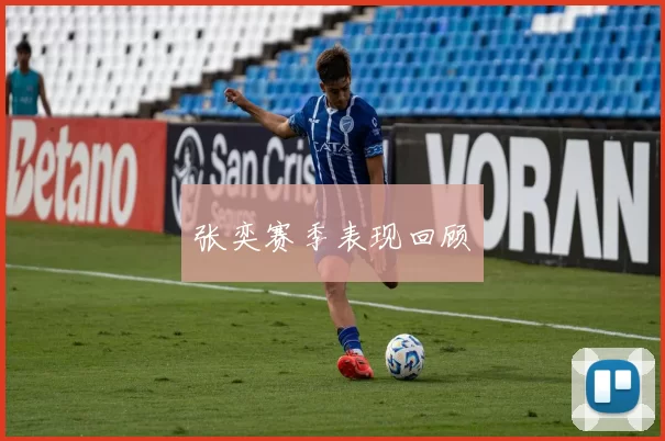 张奕赛季表现回顾