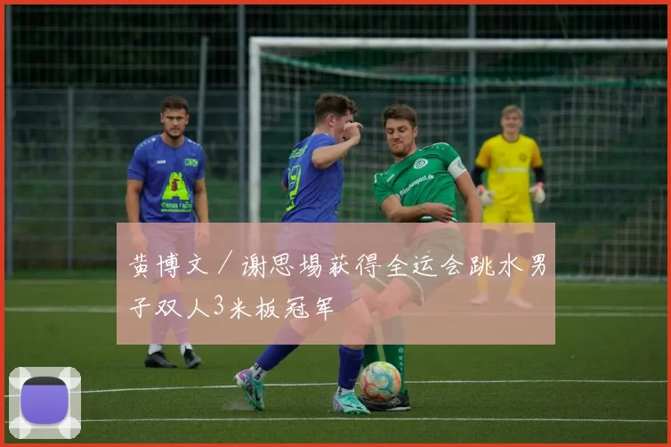 黄博文／谢思埸获得全运会跳水男子双人3米板冠军