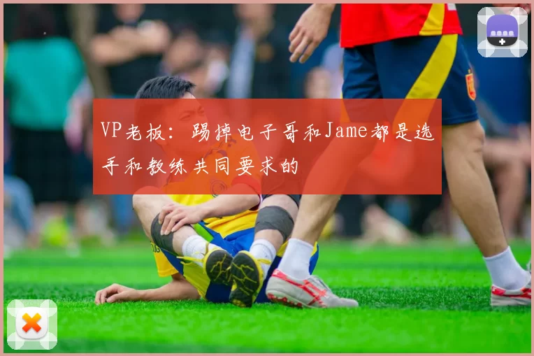 VP老板：踢掉电子哥和Jame都是选手和教练共同要求的