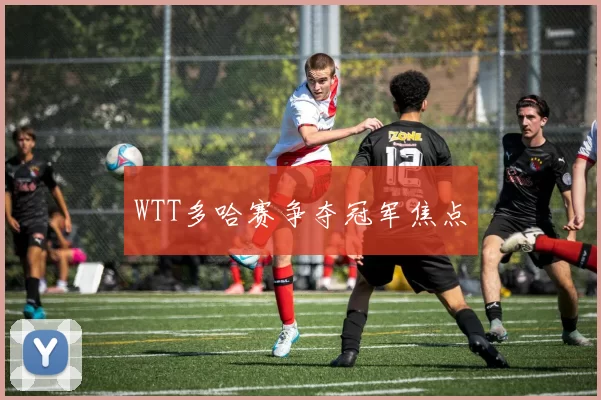 WTT多哈赛争夺冠军焦点