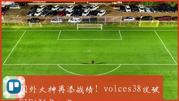 国外大神再添战绩！voices38攻破FIFA21 D加密