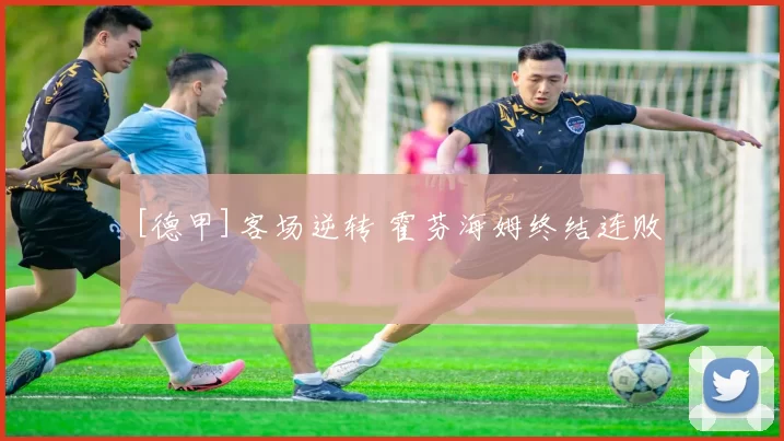 [德甲]客场逆转 霍芬海姆终结连败