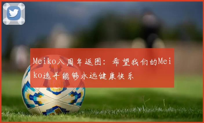 Meiko八周年返图：希望我们的Meiko选手能够永远健康快乐